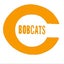Celina logo