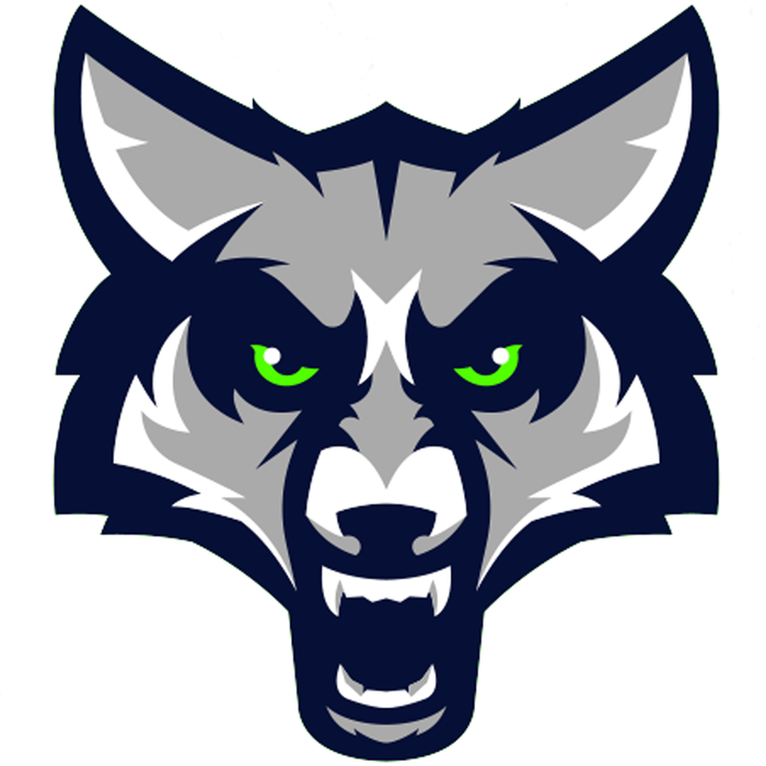 Timpanogos logo