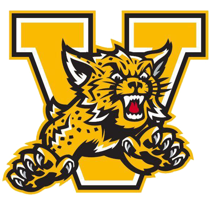 Valdosta logo