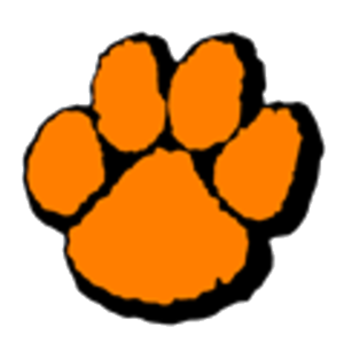 Wheaton Warrenville South logo